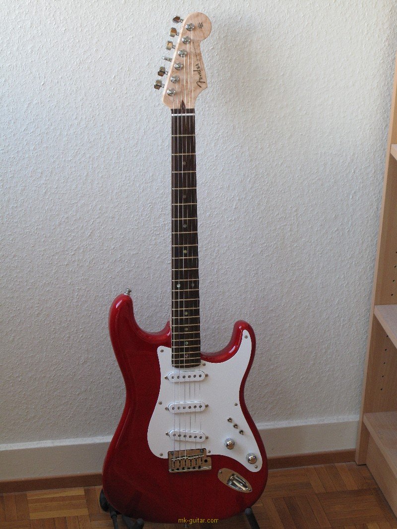 Steve from Switzerland: the VFS-1 pickguard on a guitar with rosewood fingerboard